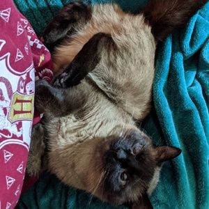 Meet your Posher, Sherry